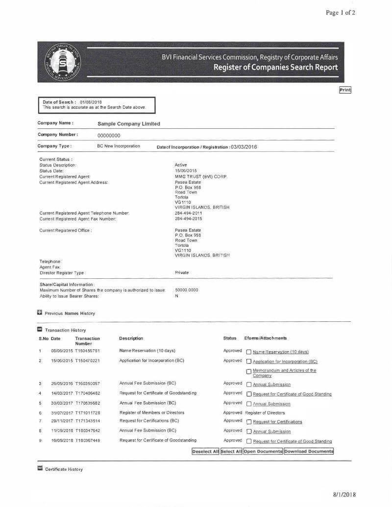 BVI Company Search alternate format - VIRRGIN sample